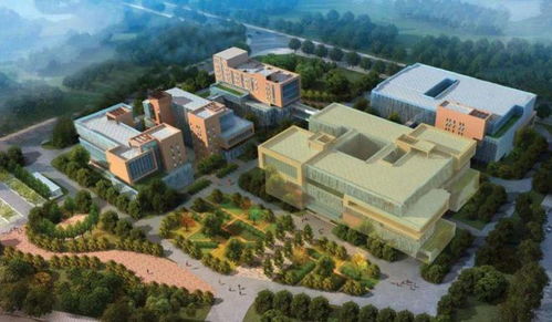 重磅 這個黃金地段將打造合成生物制造轉(zhuǎn)化加速新標(biāo)桿