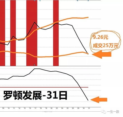 第05個(gè)測試日