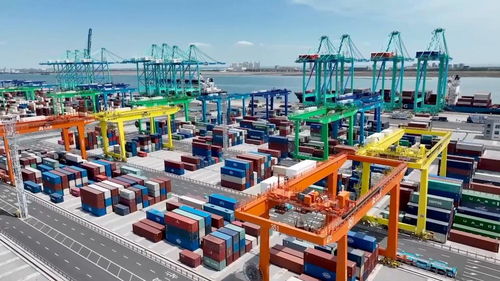 透過數據看發展 松原軟件開發的崛起與潛力